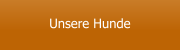 Unsere Hunde